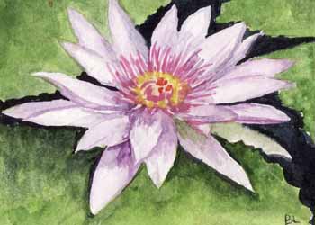 "Water Lily I" by Beverly Larson, Oregon WI - Watercolor, SOLD